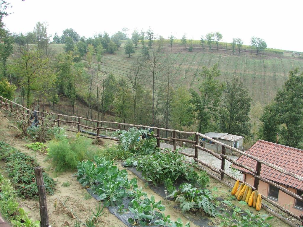 아키테르메 Agriturismo Cascina Aurora 빌라 외부 사진